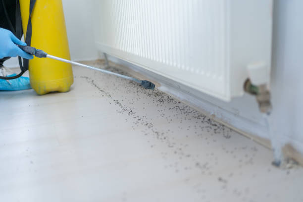 Best Pest Inspection Near Me  in Del City, OK